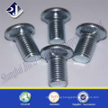 Grade 8.8 Carriage Screw Ts16949